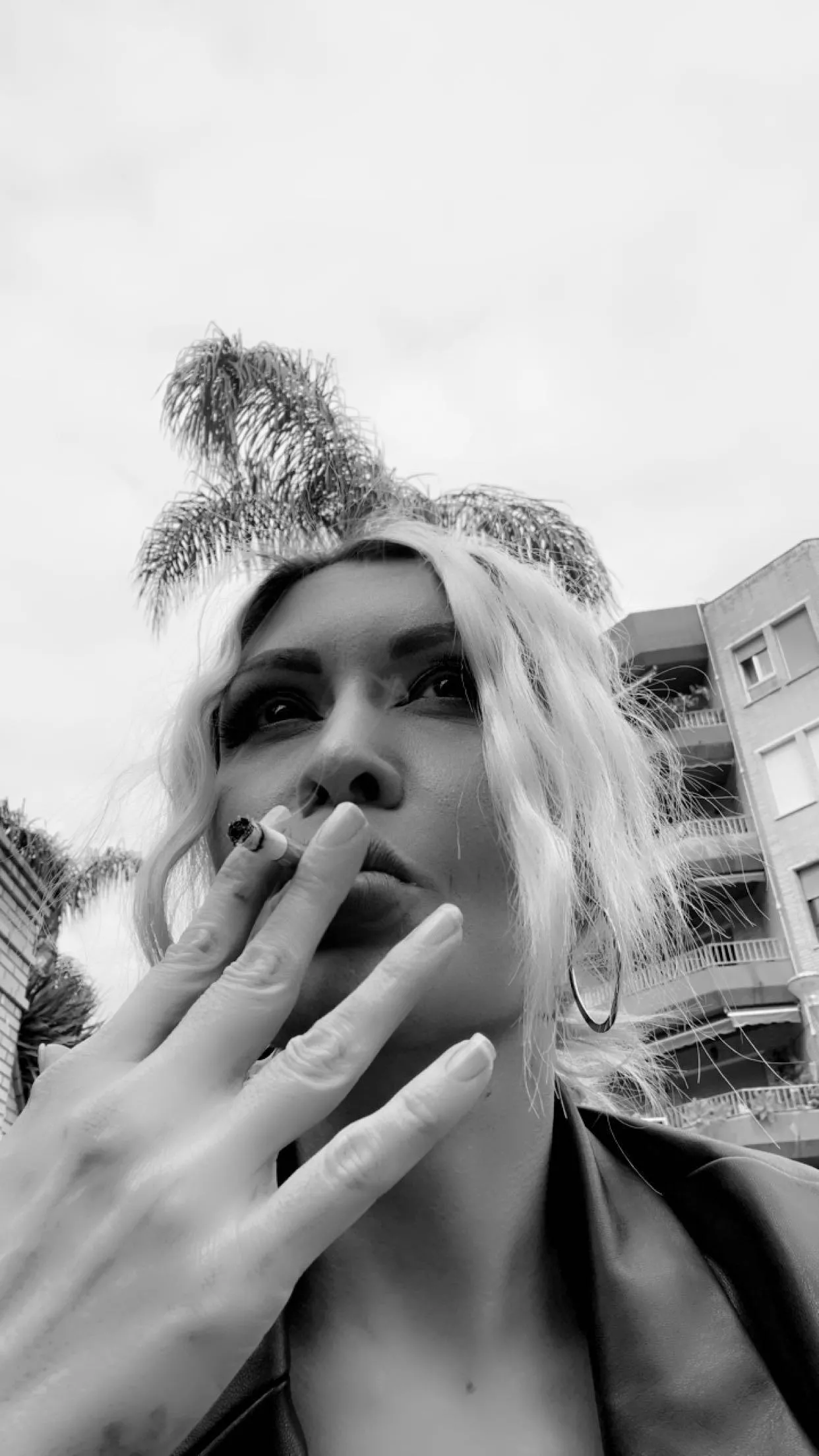 The palm tree looks like a hat 😂