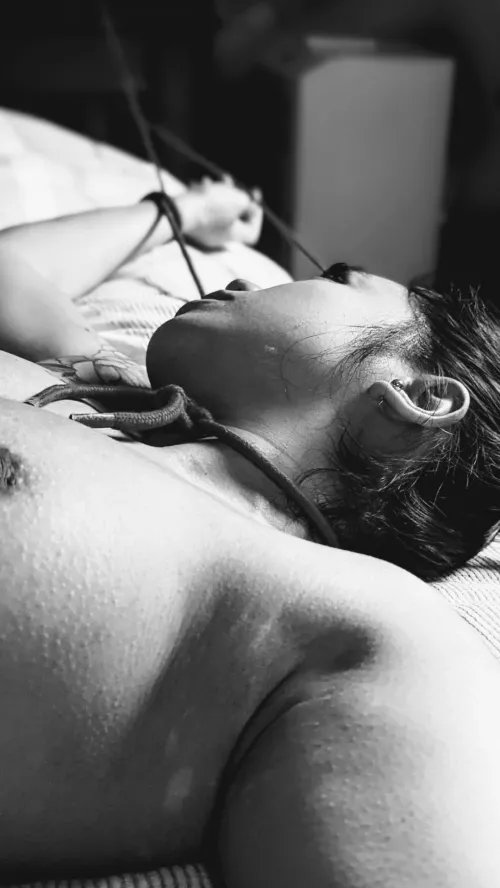 Tied down and waiting