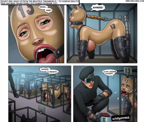 Whene my master says i am Not the only pet of him