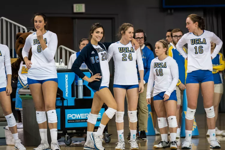 which tree you climbing?