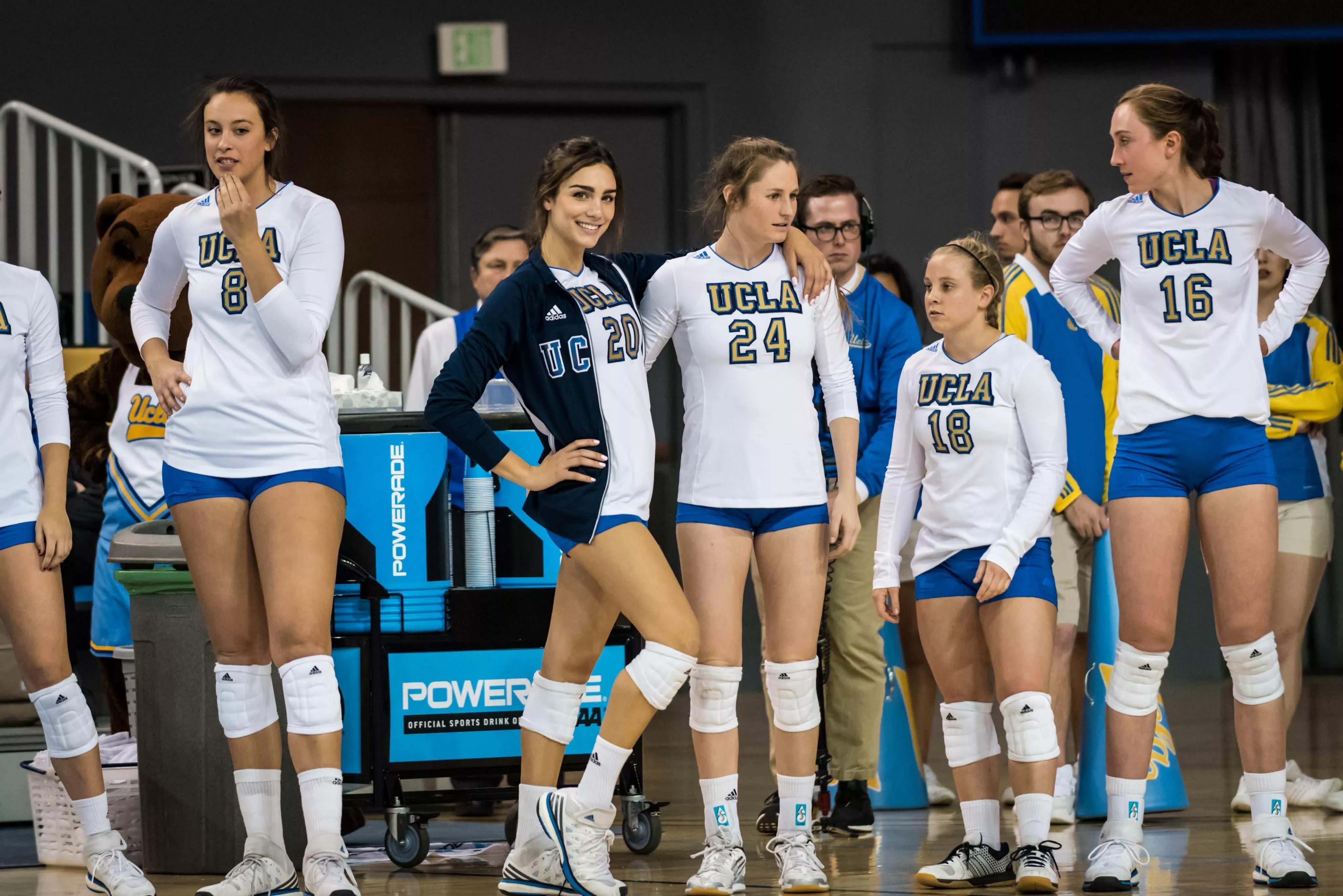 which tree you climbing?