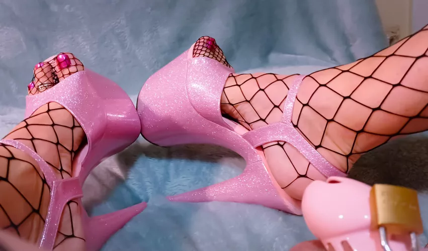 Would you rather with fishnets or without?