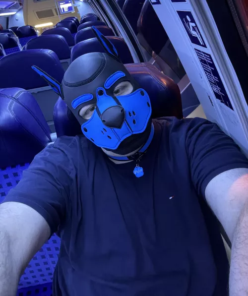 Wruff! 🐾 I'm always excited when I ride the train 🐕🐶