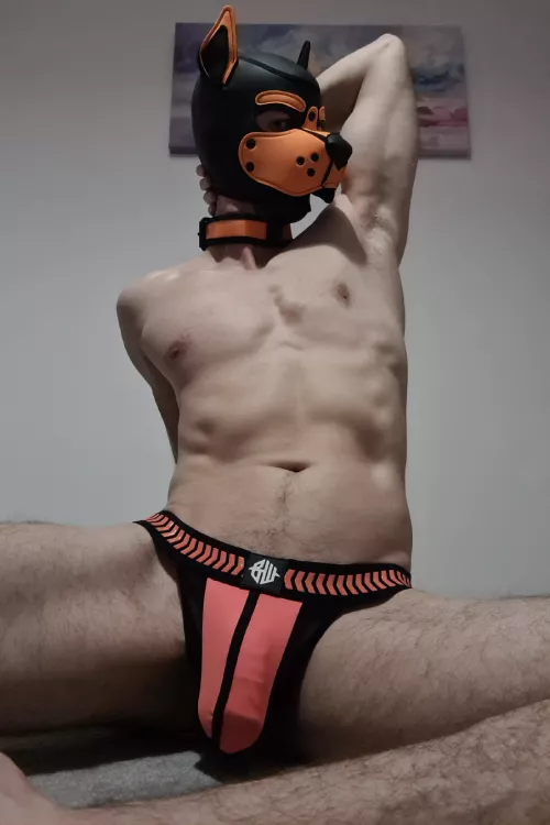 A vain[y] Pup!