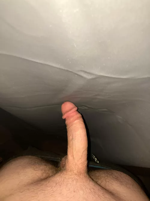 Anyone want to trade pics and cum together