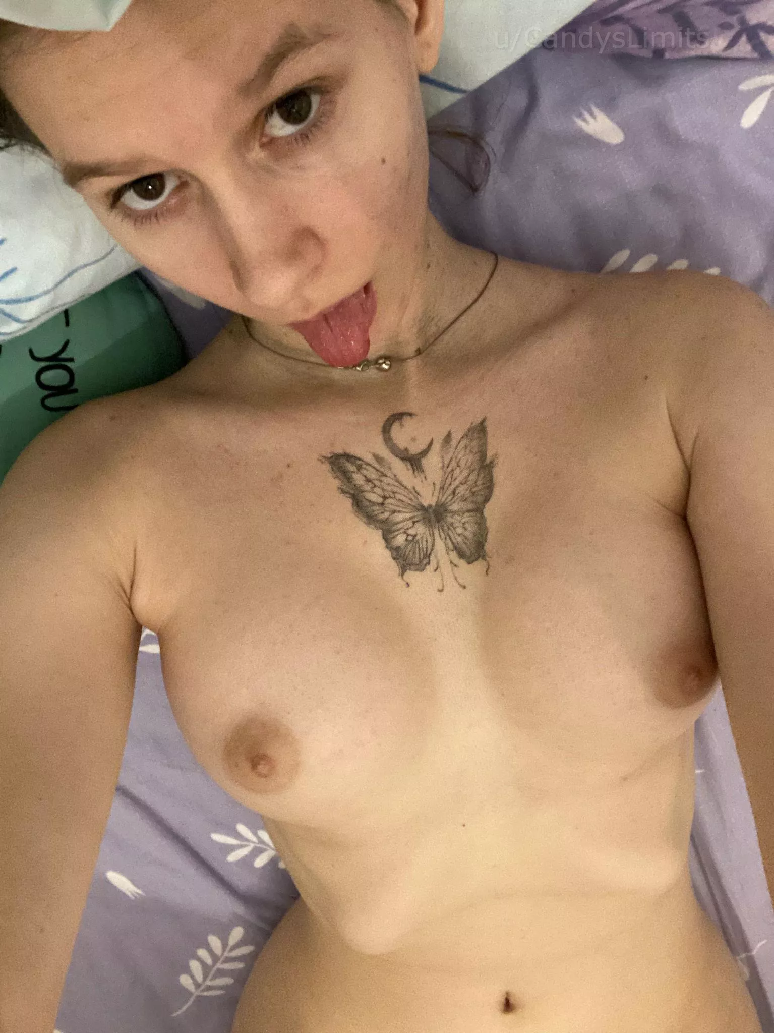 Are you a fan of the little titty club or the big boob brigade?