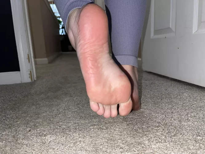 Are you following me? You might get squished!