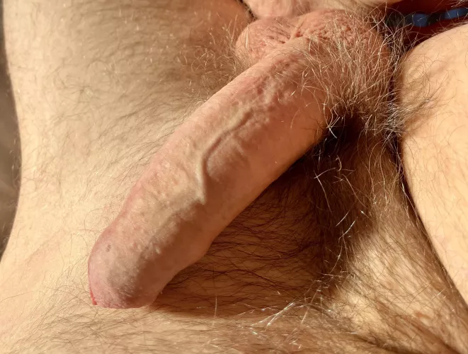 British uncut cock [36]