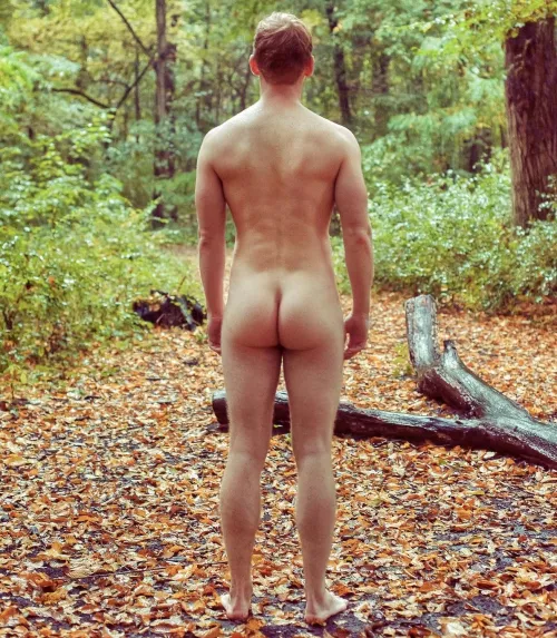 Butt the woods