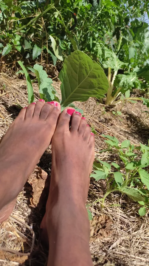 Day in the life of an African farmer