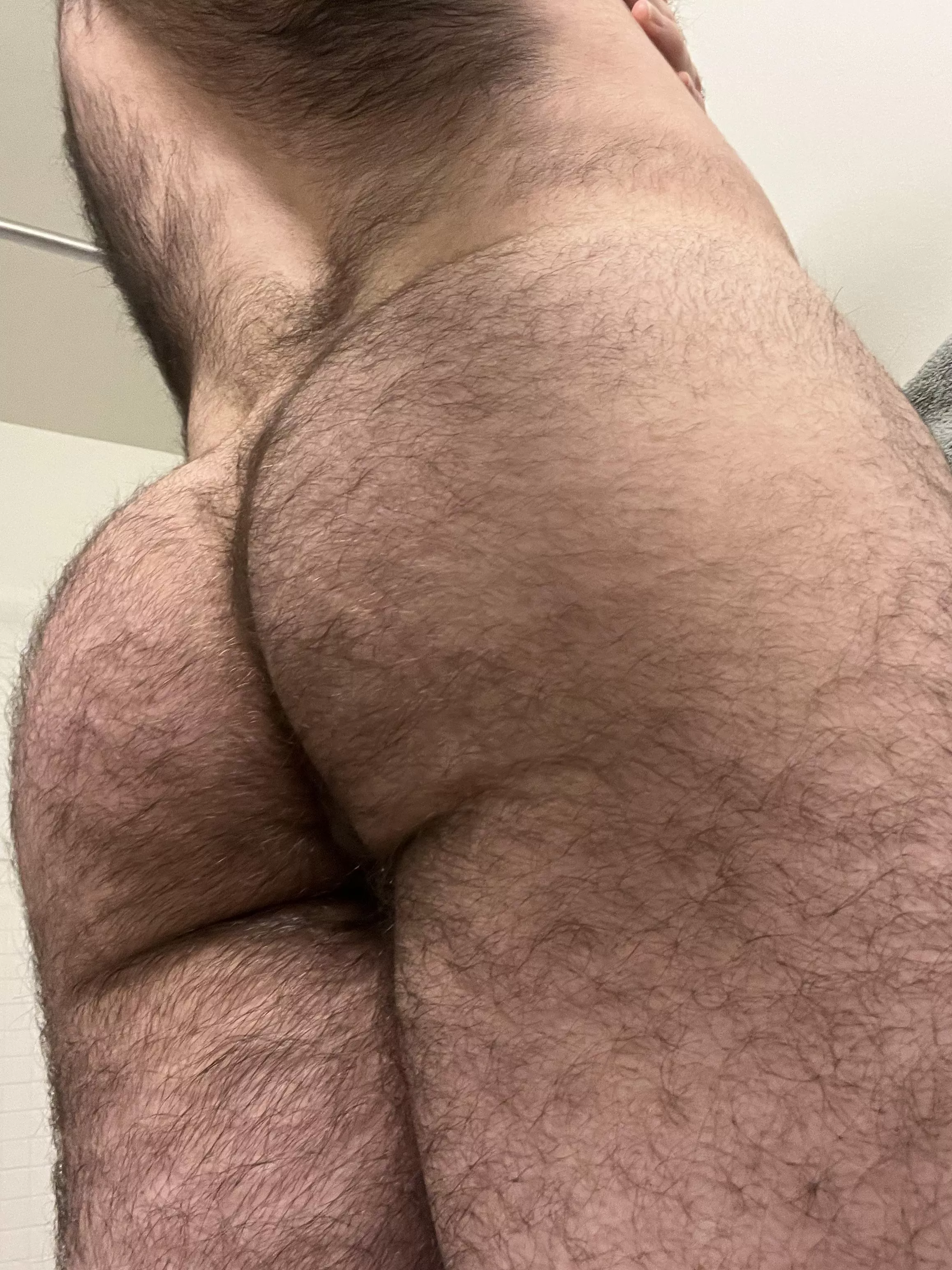 Hopefully not too furry…