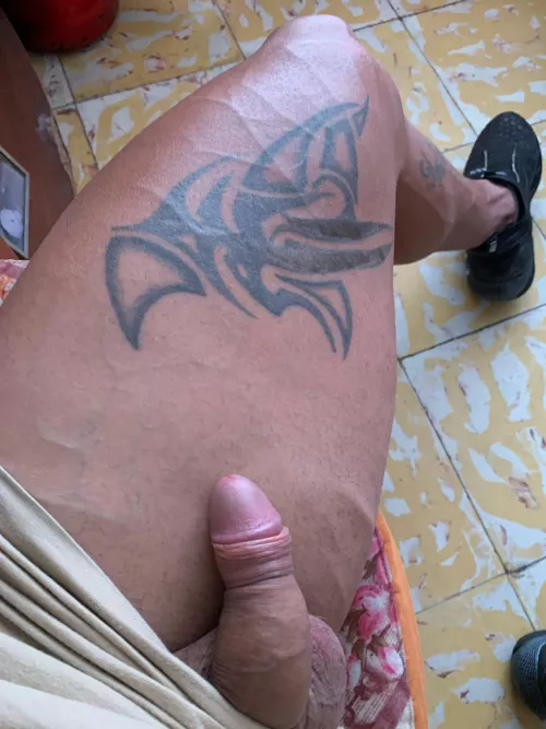 in search of the north