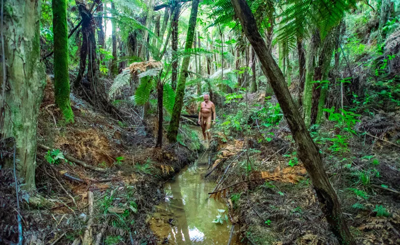 It's hot today, cooling off in the shade of the forest