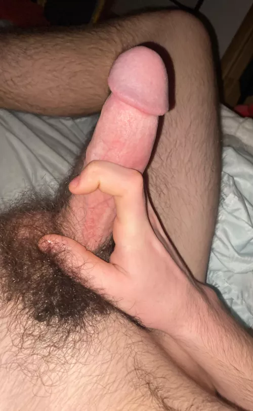 Looking for something nice to suck?