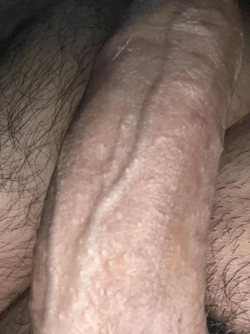 Looking to have some fun