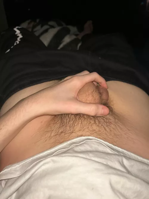 message me if u like young dick daddy