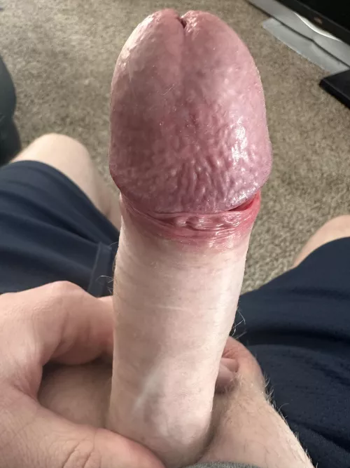 Mid Afternoon Rock Hard Boner