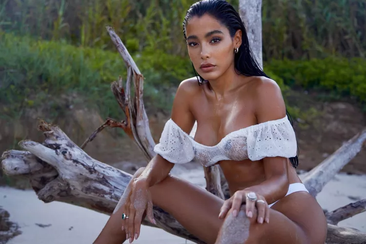 shipwrecked in paradise