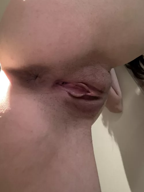 Sitting in your face