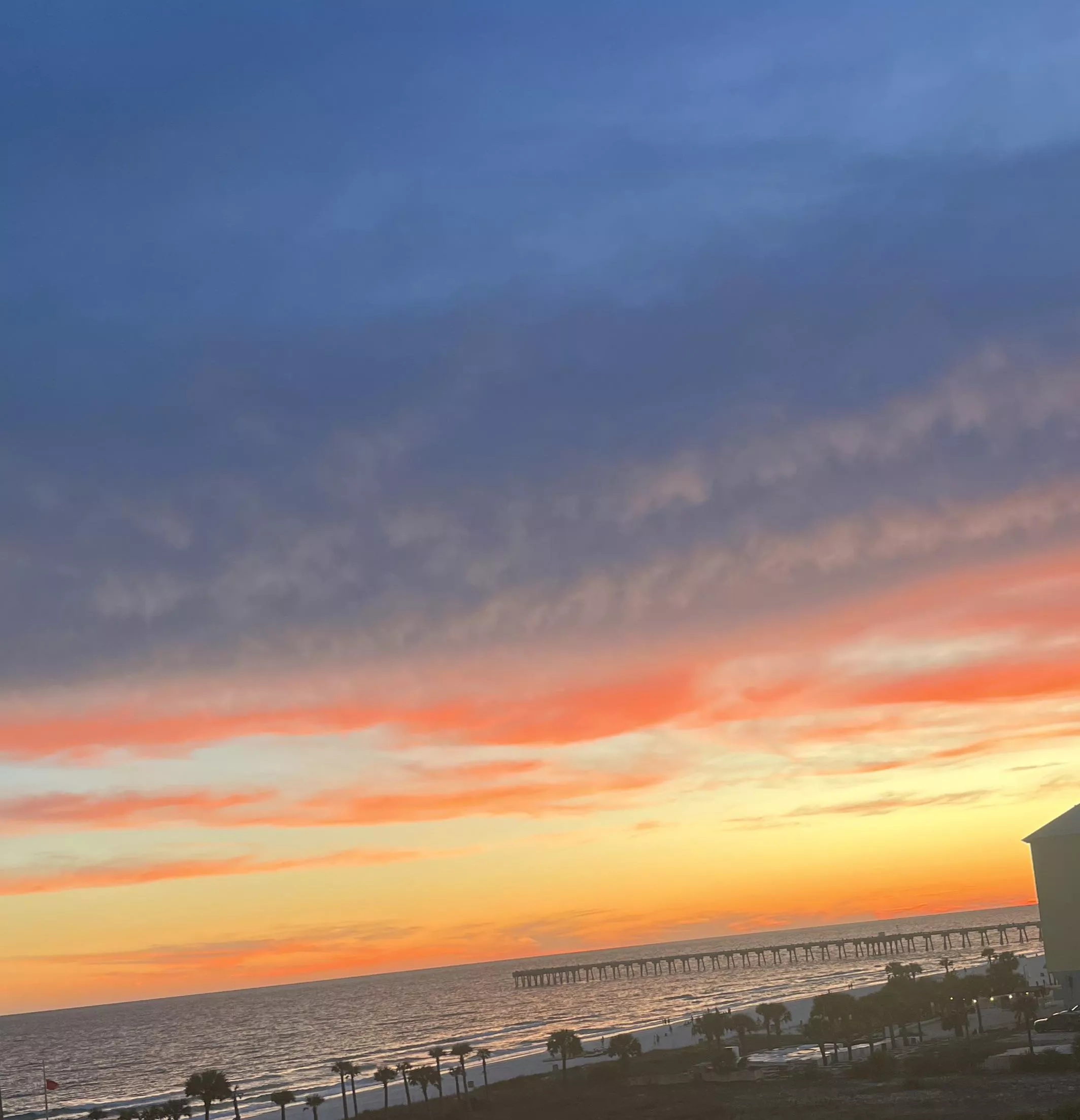 Sunsets like these make everything feel so much better OC