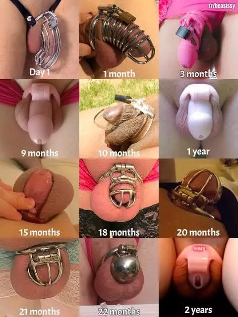 The progression of a chastity cage journey!