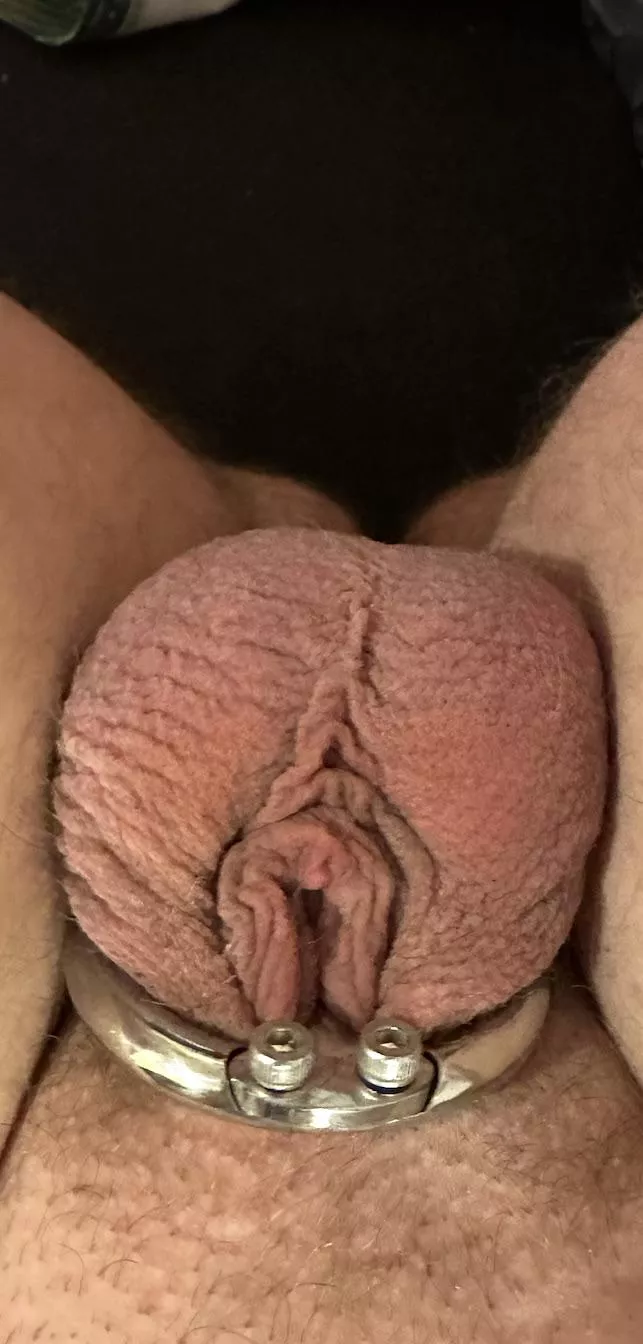 This cage feels so hot