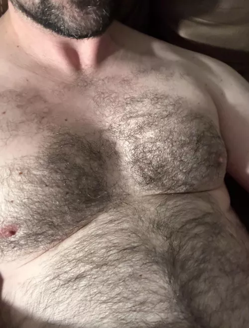 Who needs some fur tonight?