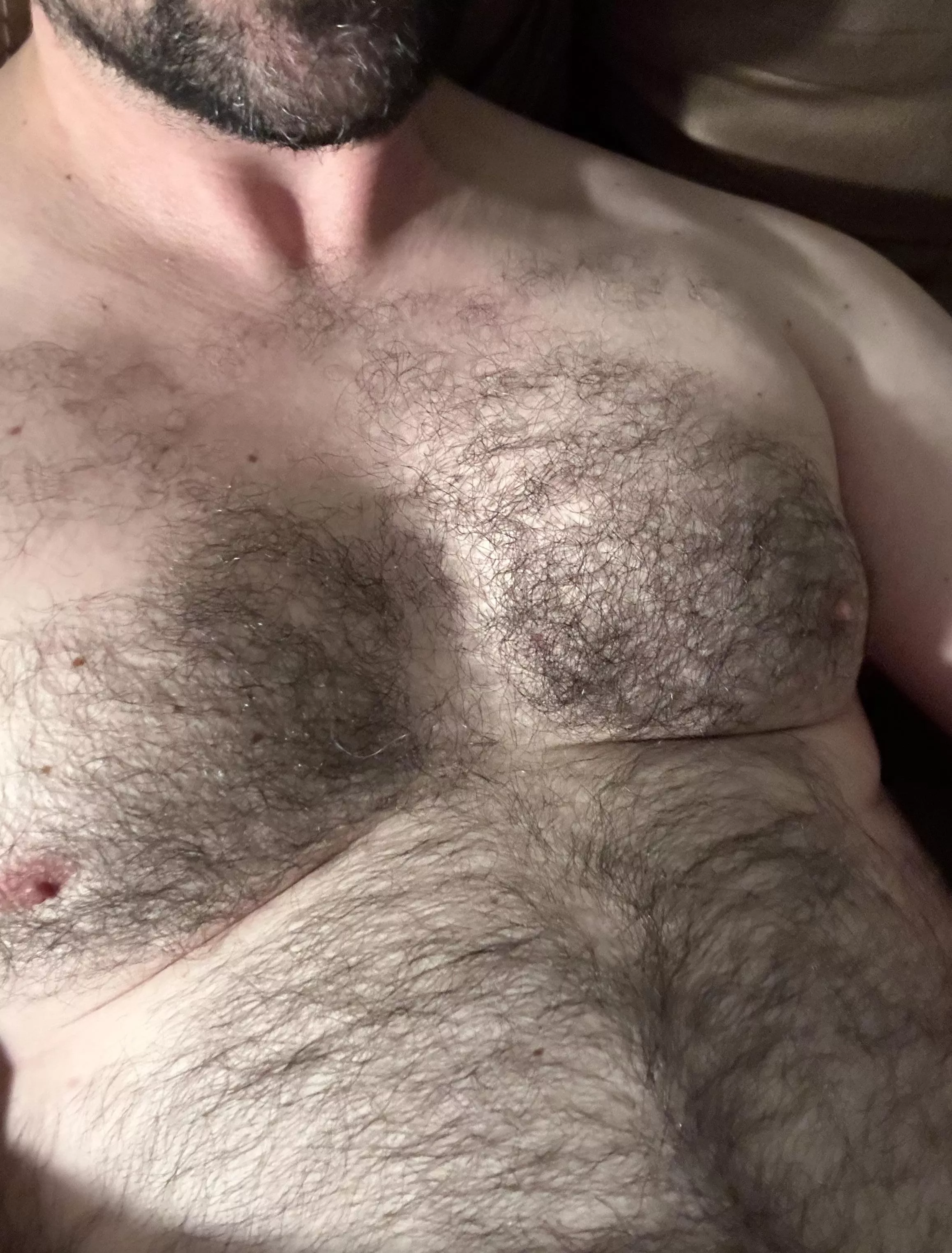 Who needs some fur tonight?