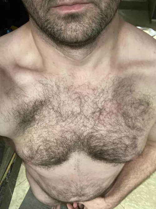 (36) Dadbod with a hairy chest…
