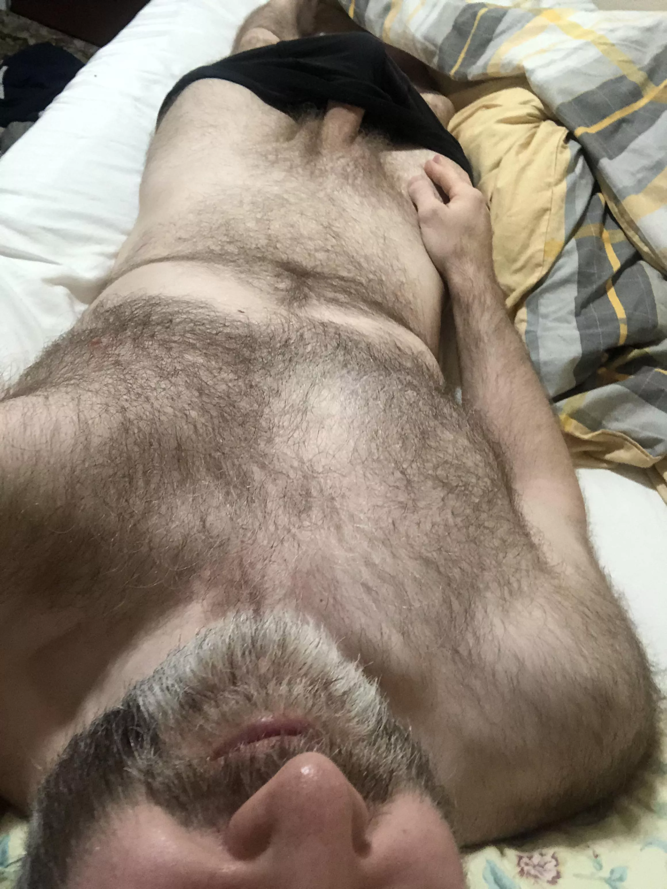 [48] Silver Fox waking up