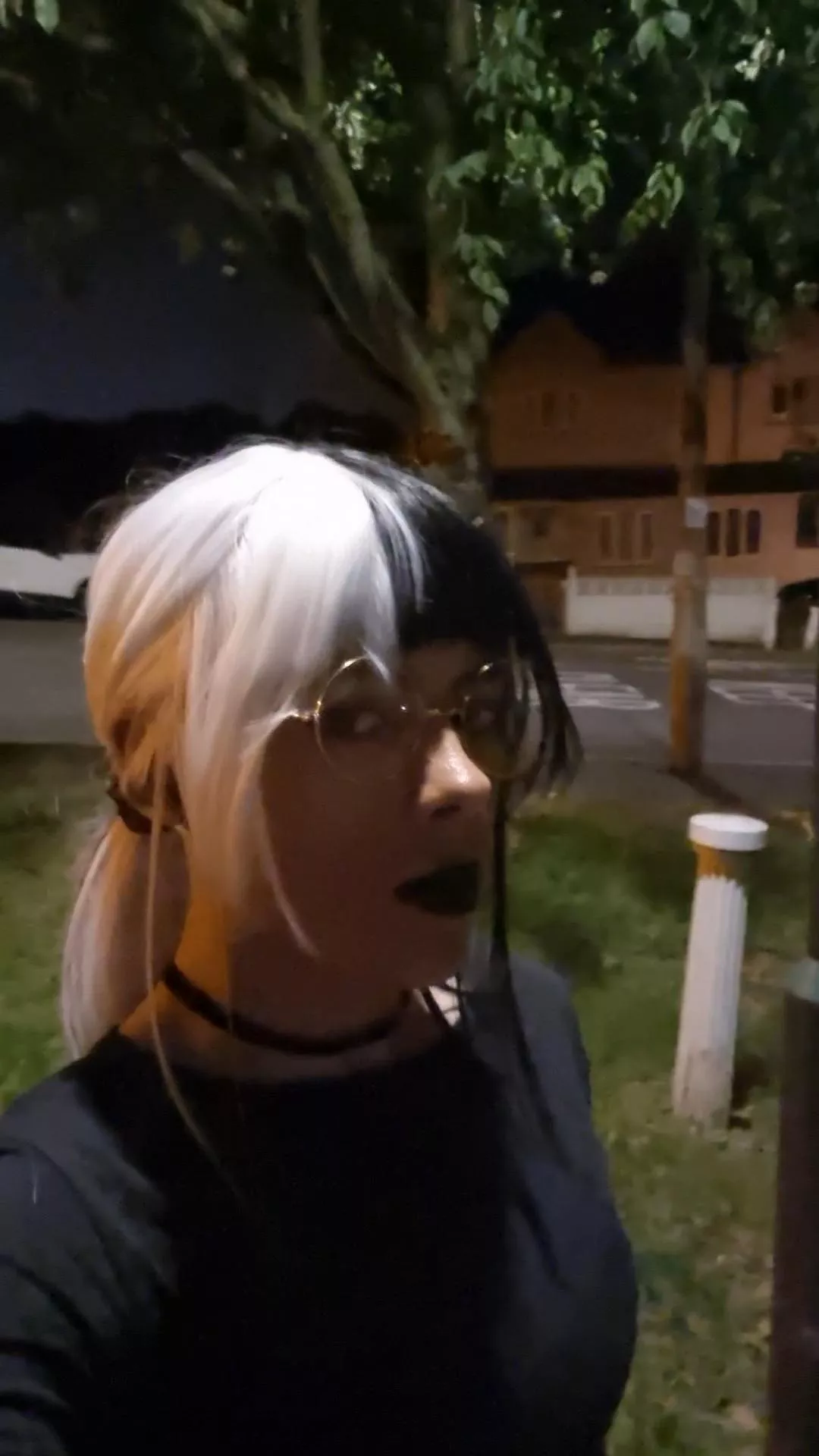 Another successful outing 🥳 May have to try going out during the day soon