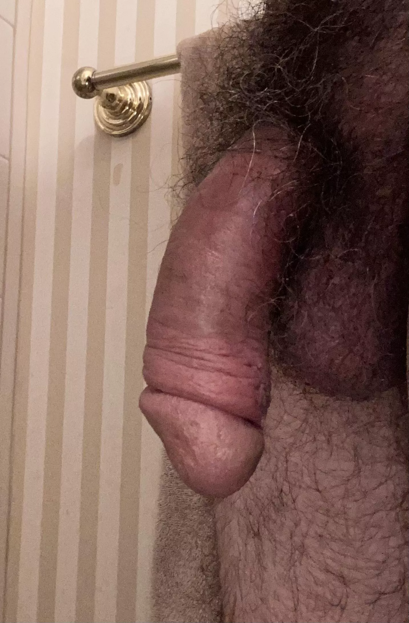 Feeling kinda furry!