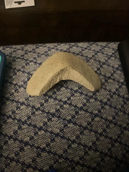 found this at the beach, any idea what it is?