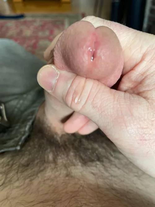 My (49) dripping Jewish dad cock.