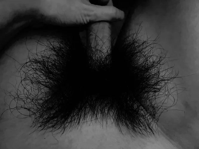 My bush is looking thick and big tonight