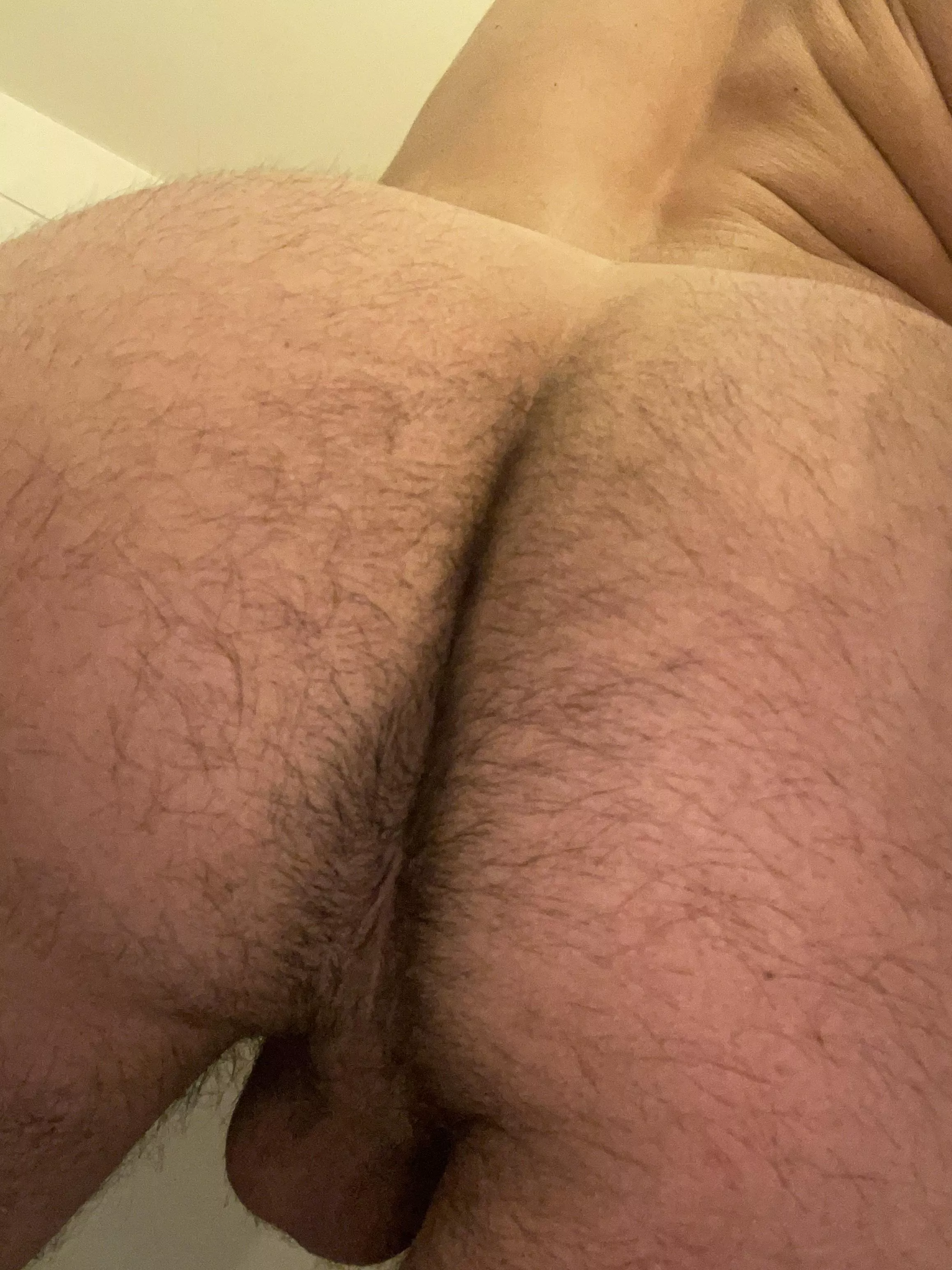 Someone come and spread em