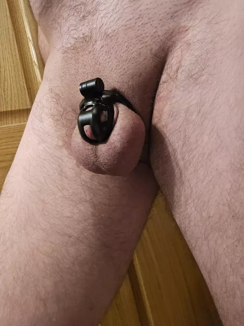 Sometimes I wonder if I could squeeze into a smaller cage