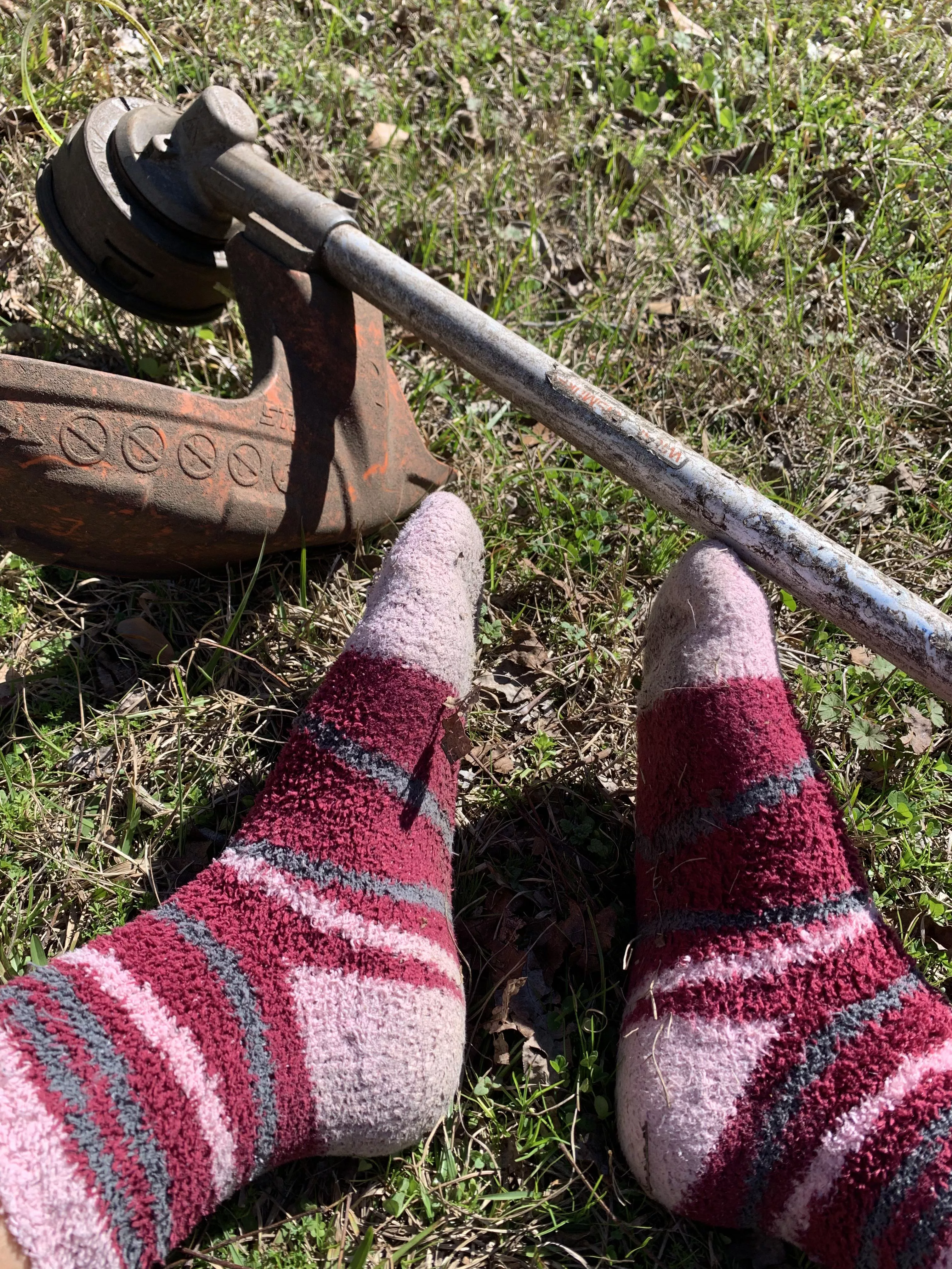 Stinky Landscaping Socks:P [selling] [F]