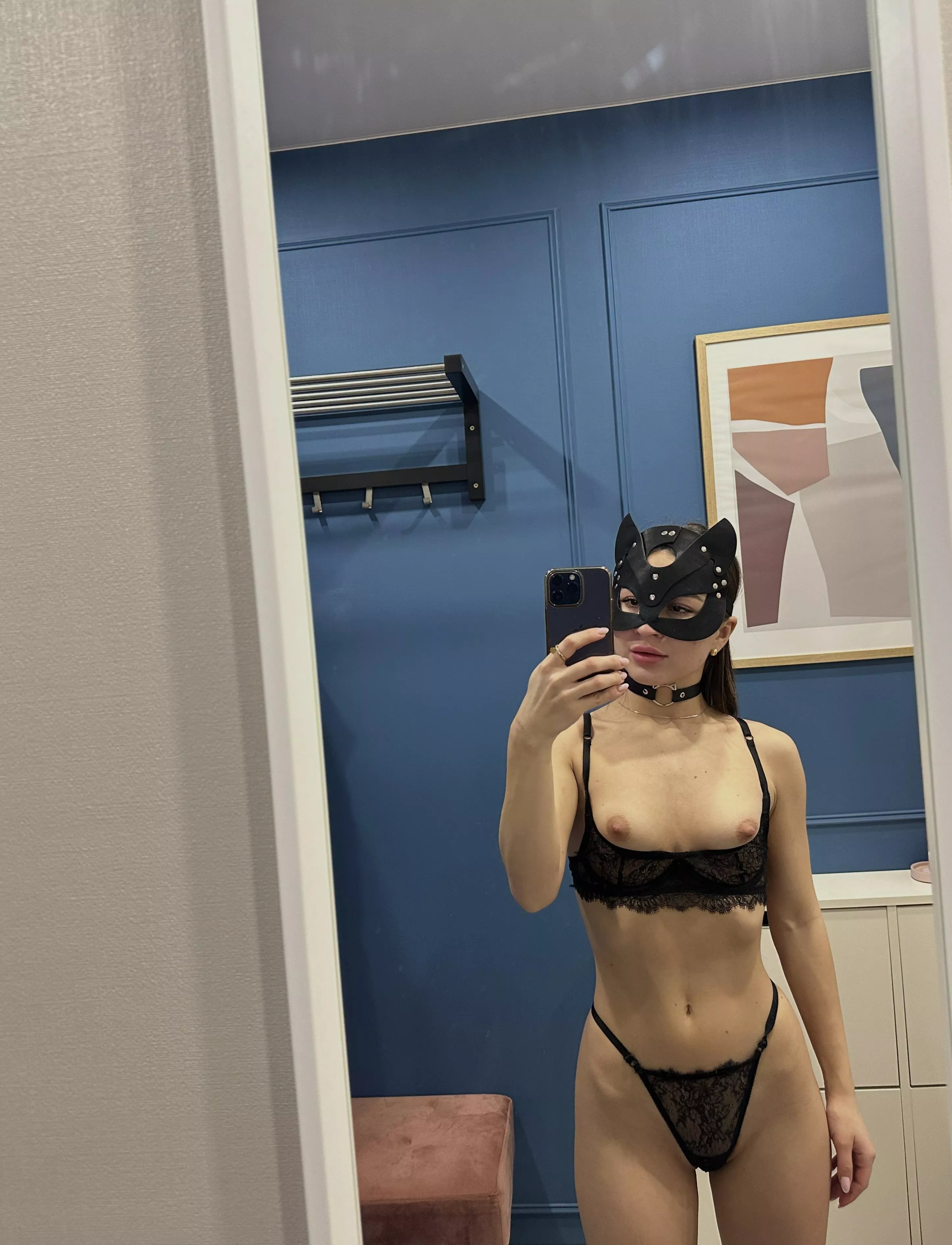 To purr or to scratch that is the question