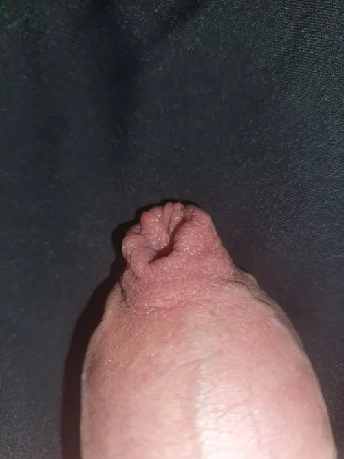 Who want to play with the tip