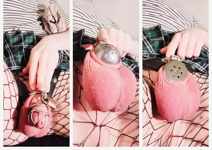 W-wait where did it go?!?