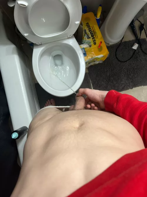 you wanna see more ?