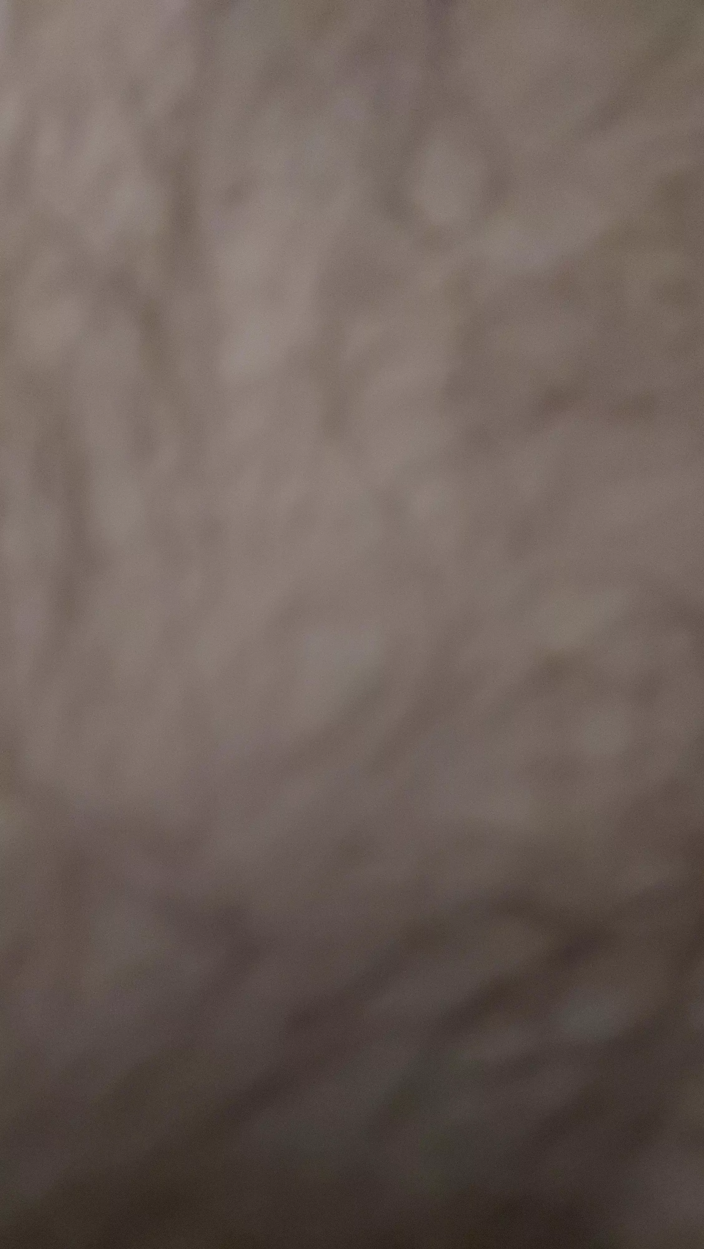 29 message me jonas191 6 I wanna show off sitting here naked :)