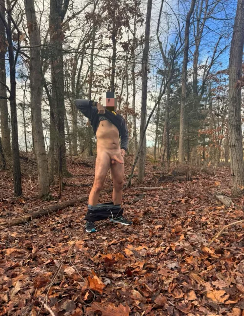 (53)What would you do if you stumbled on me lie this in the woods?