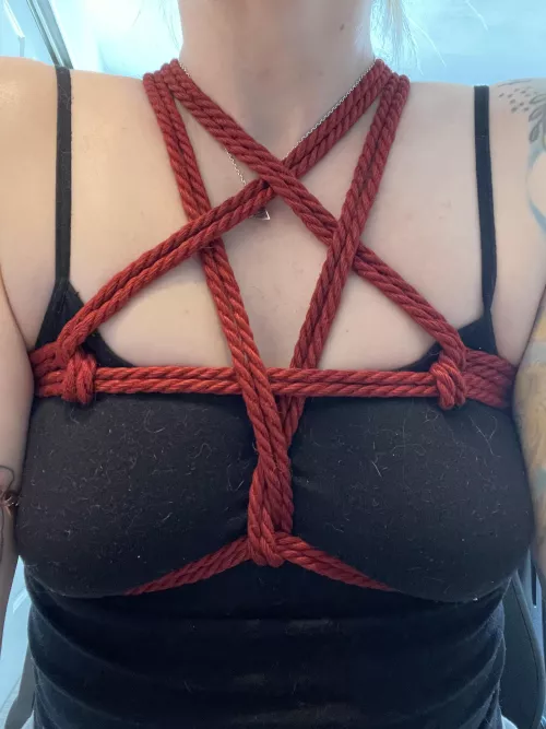 Asked the husband to make me a chest harness while I write my annotated bibliography on BDSM.