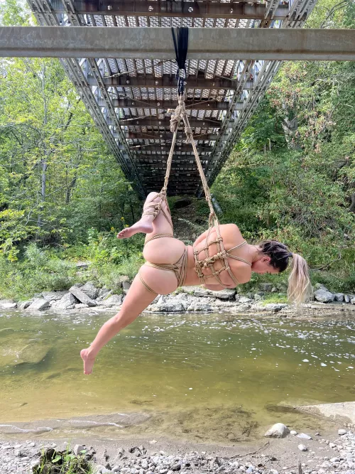 Bodyshapes in suspension...