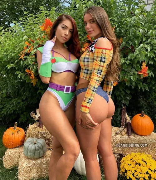 Buzz and Woody by CandidKing