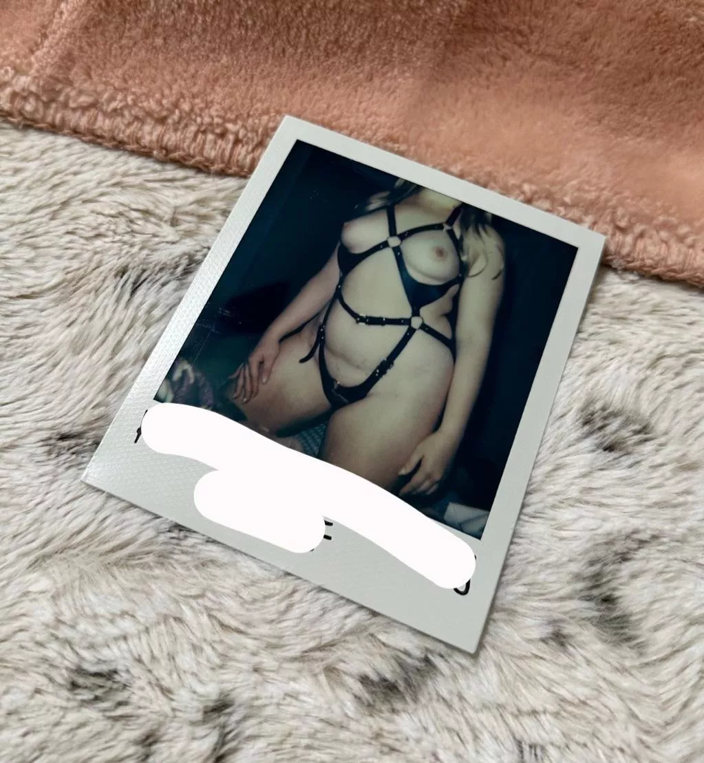 do people still like bdsm polaroids?