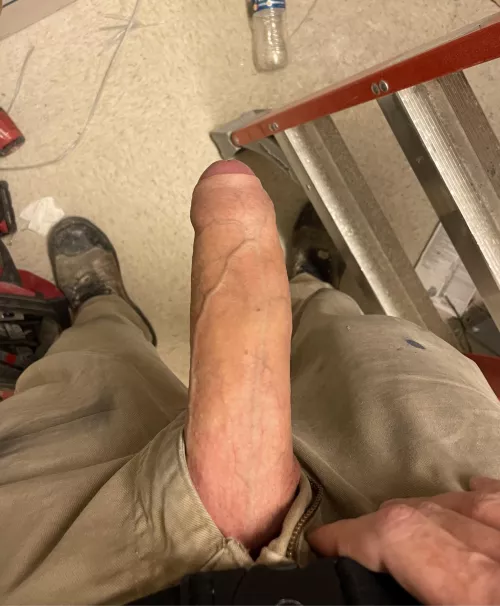 Do you like blue collar guys?