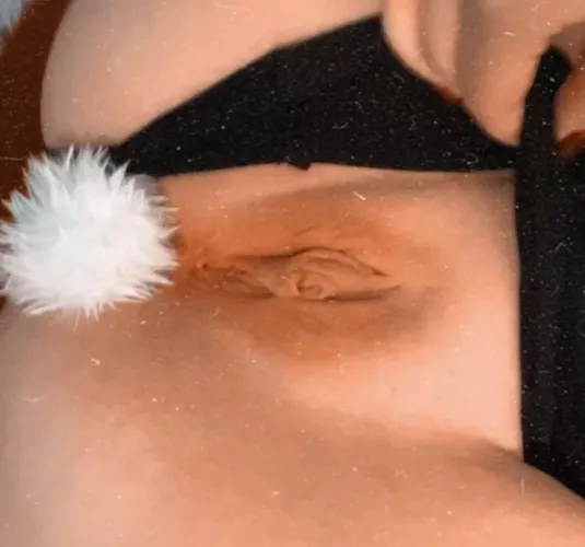 Do you like bunnies hehe